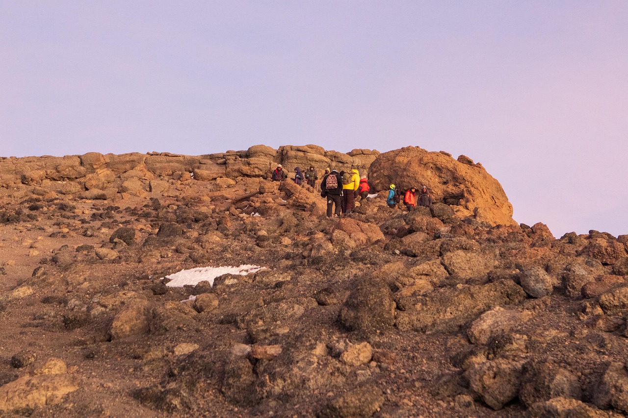 Climbers trekking across Kilimanjaro's high-altitude terrain