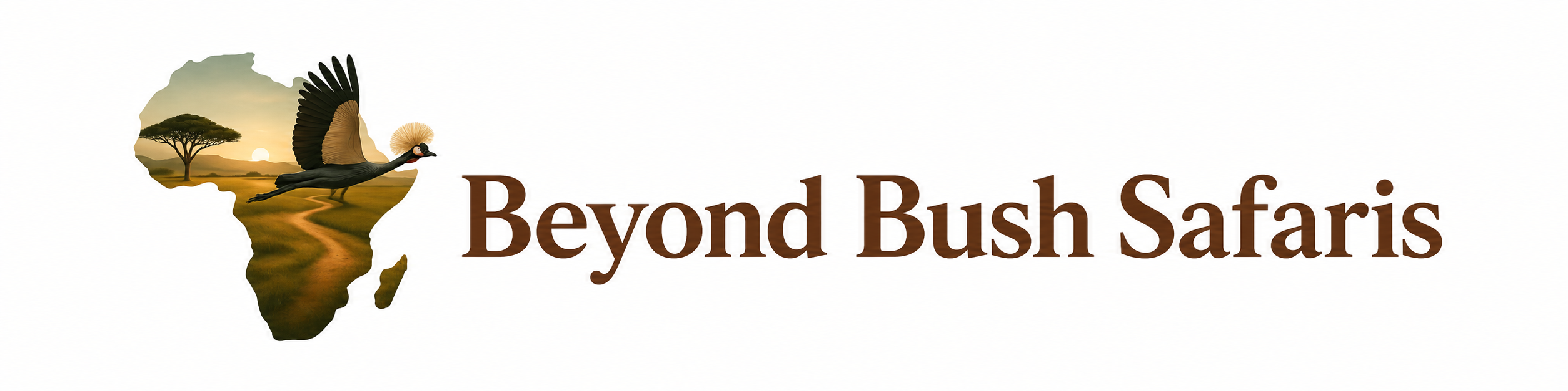 Beyond Bush Safaris