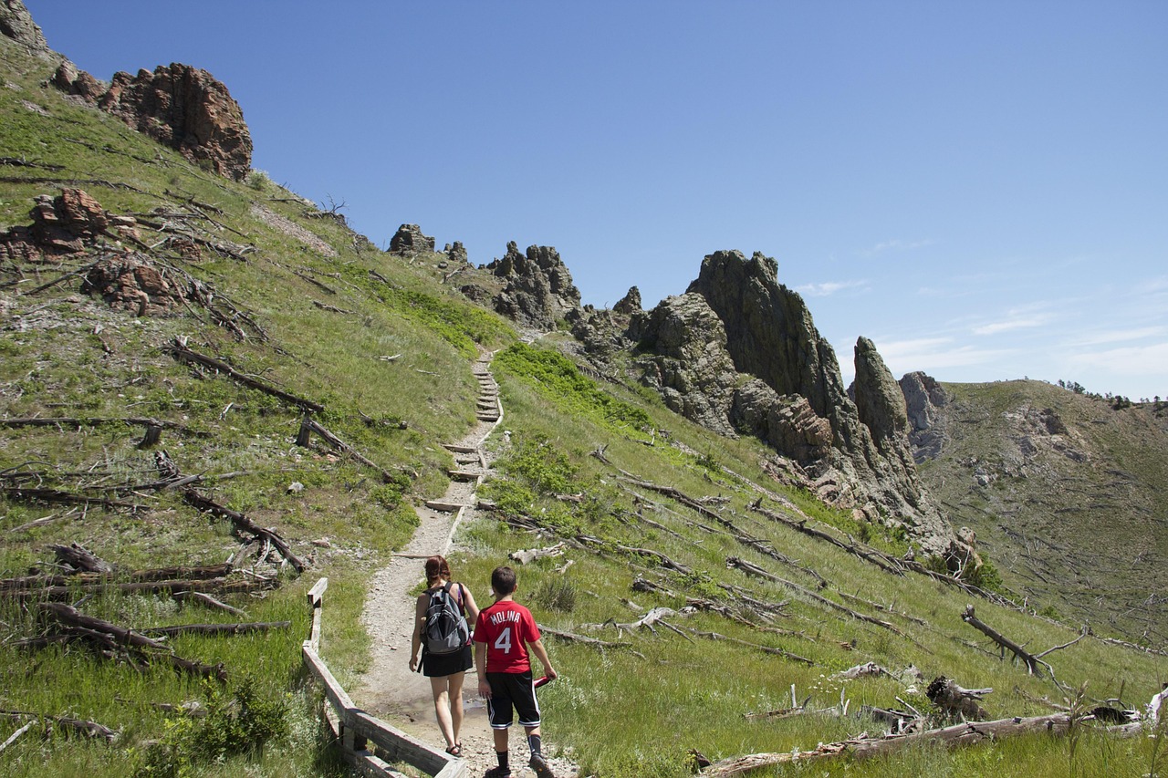 Hikers climbing a mountain trail