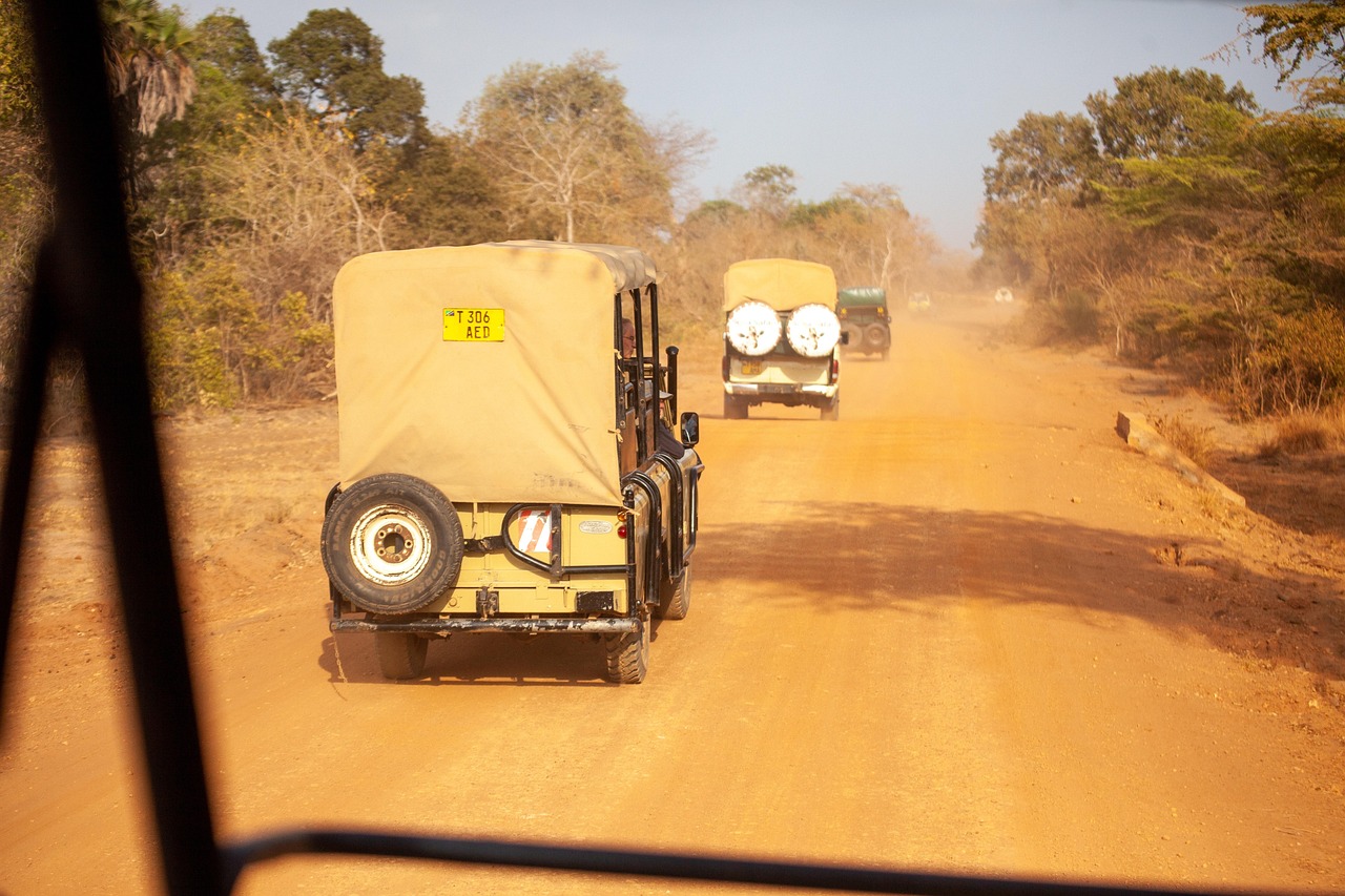 Safari Costs Explained