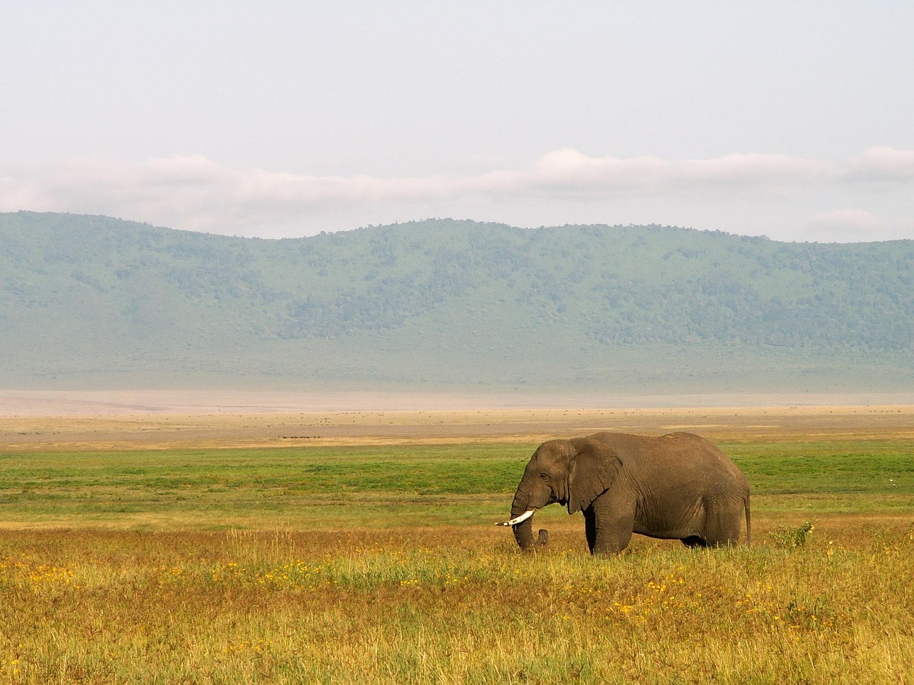 Things to Do in Tanzania