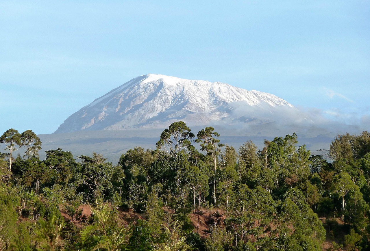 Mount Kilimanjaro Climb 8 Days Lemosho Route