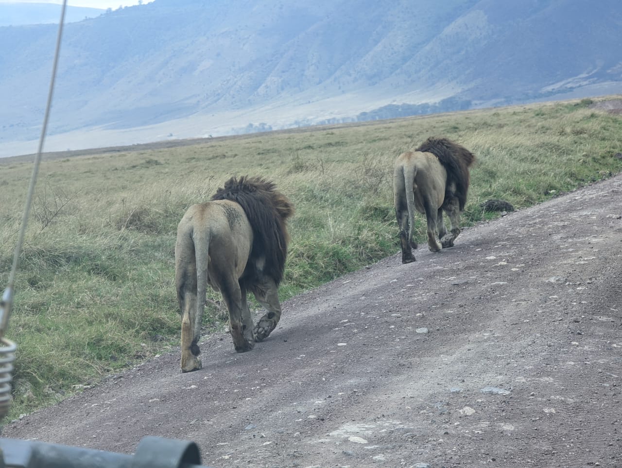 6 Days Mount Kilimanjaro Climb Rongai Route